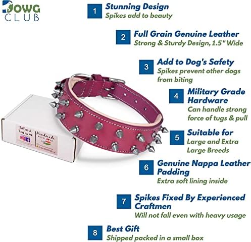 Dowgclub | Prava kožna ogrlica za pse | Puna zrna, teška dužnost | Udobno, jak, najbolji za srednje, L, XL pasmine | 1,5 širok | ružičasti sa srebrnim šiljcima)