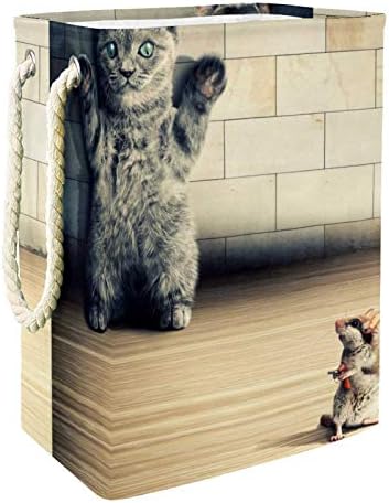 DEYYA Funny Cat Mouse korpe za veš korpa visoka čvrsta sklopiva za odraslu decu Tinejdžeri dečaci Devojčice
