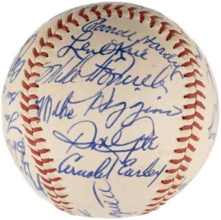 Prekrasan tim Boston Red Sox 1962. potpisao je službenu američku ligu bejzbol JSA - autogramirane bejzbol