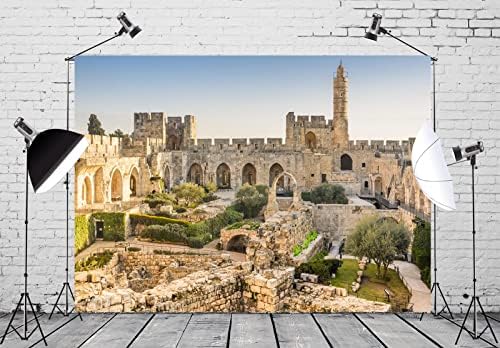 BELECO 10x8ft tkanina Stari Grad Jerusalem pozadina Izrael Kula Davida pozadina David toranj drevne ruševine
