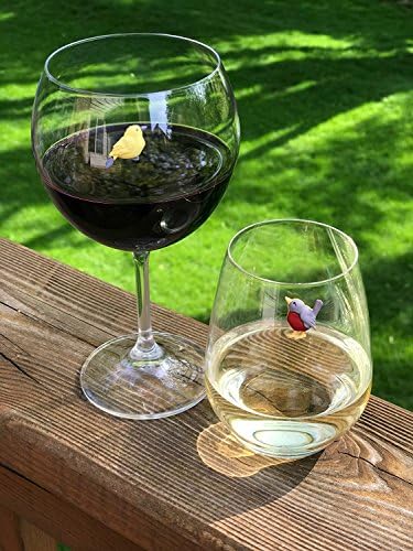 Jednostavno začarane čari od čaša za vino za ptice - magnetni markeri za piće za identifikaciju svih vaših