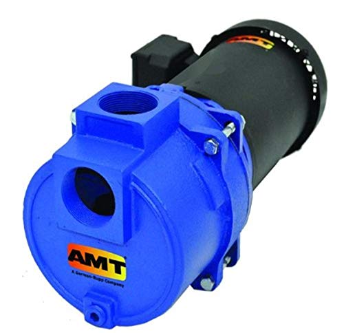 Amt pumpa 316B-95 kanalizacija & pumpa za smeće, Liveno gvožđe, 3 HP, 1 faza, 230V, kriva a, 2 NPT ženski