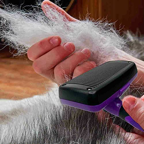 Samočisteća glatka četka za pse,pudlice, mačke, zečeve & više Slicker Brush Grooming duga kosa & alat za
