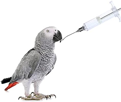 OBANGONG 2 kompleta cijevi za hranjenje šprica za ptice sa 2 kom kašikom za hranjenje koja se koristi za