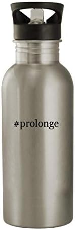 Knick klackant pokloni Prolonge - 20oz boca vode od nehrđajućeg čelika, srebrna