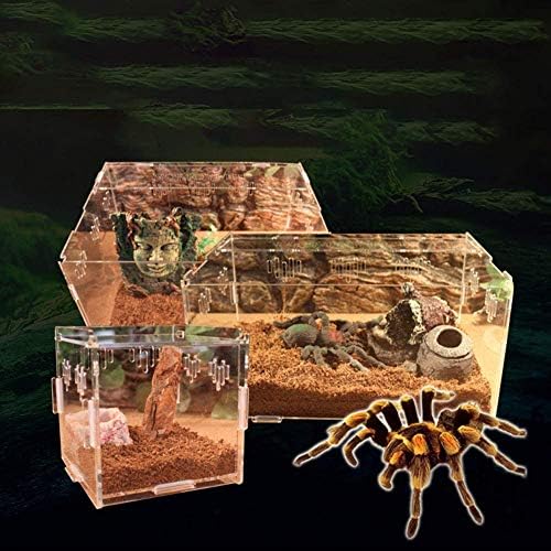 OMEM prozirna akrilna kutija za gmizavce za kućne ljubimce-kombinovana kutija za uzgoj pet gmizavaca Pauk