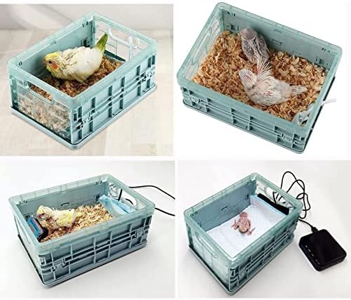 WIONBE ručni inkubator 2 galona ptice papagaj termostat za male životinje kutija za uzgoj ptičja jaja za
