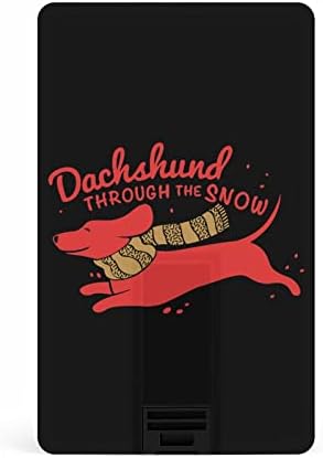 DachShund nosi šal kreditne bankovne kartice USB flash diskove Prijenosni memorijski stick tipka za pohranu