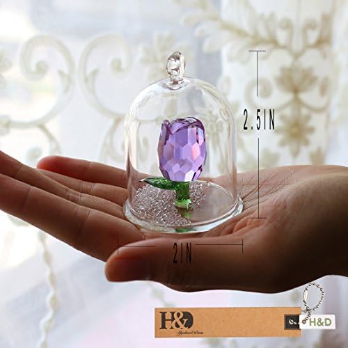 H & D Crystal Enchanted Rose Cvijeće figurine snova ukrase u staklenim poklonima kupola za nju