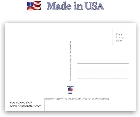 FLORIDA STATE FACTS set razglednica od 20 identičnih razglednica. Pošaljite kartice sa FL činjenicama i