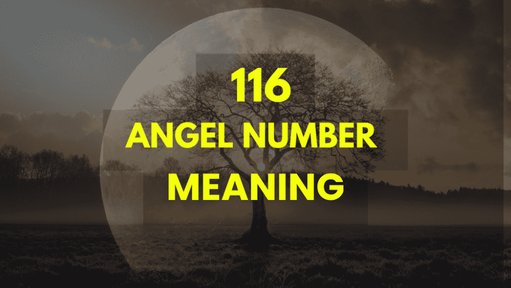 Discover the Power of 116 Angel Number in Your Life Today