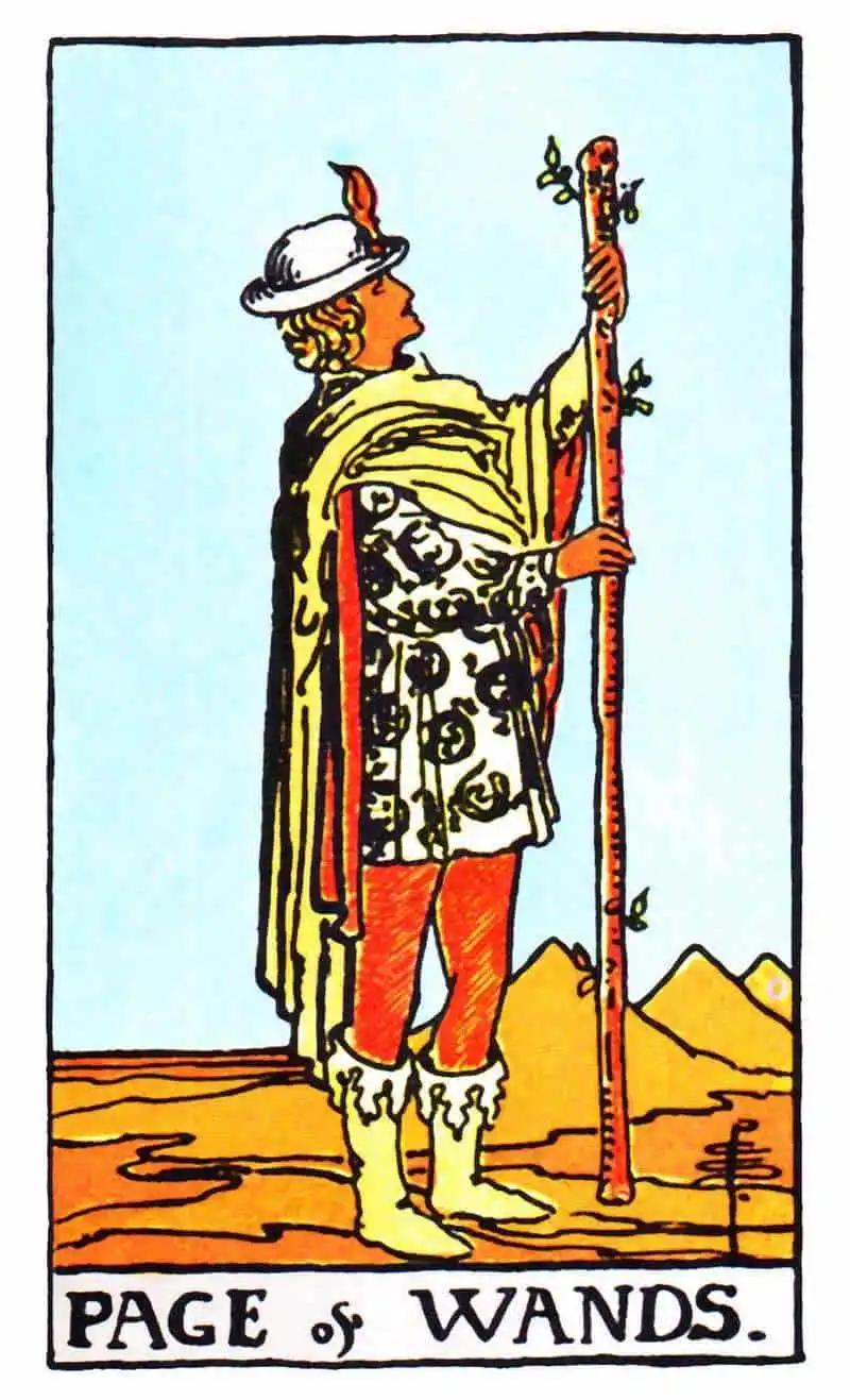 Does the Page of Wands Say Yes or No? Tarot Insights Explained