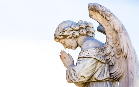 The Meaning of 255 Angel Number: Spiritual Insights and Divine Messages for Personal Growth