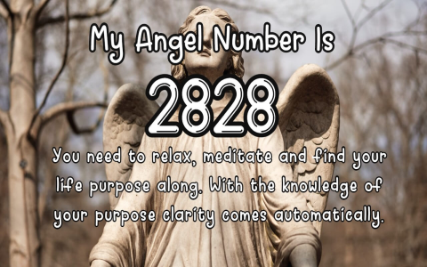 What Does Angel Number 445 Mean? Discover Its Spiritual Message