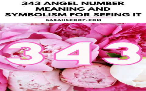 Angel Number 448: How This Divine Message Brings Stability, Abundance, and Guidance Into Your Life