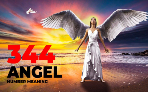 What Does Angel Number 355 Mean? Embrace Change and Transformation