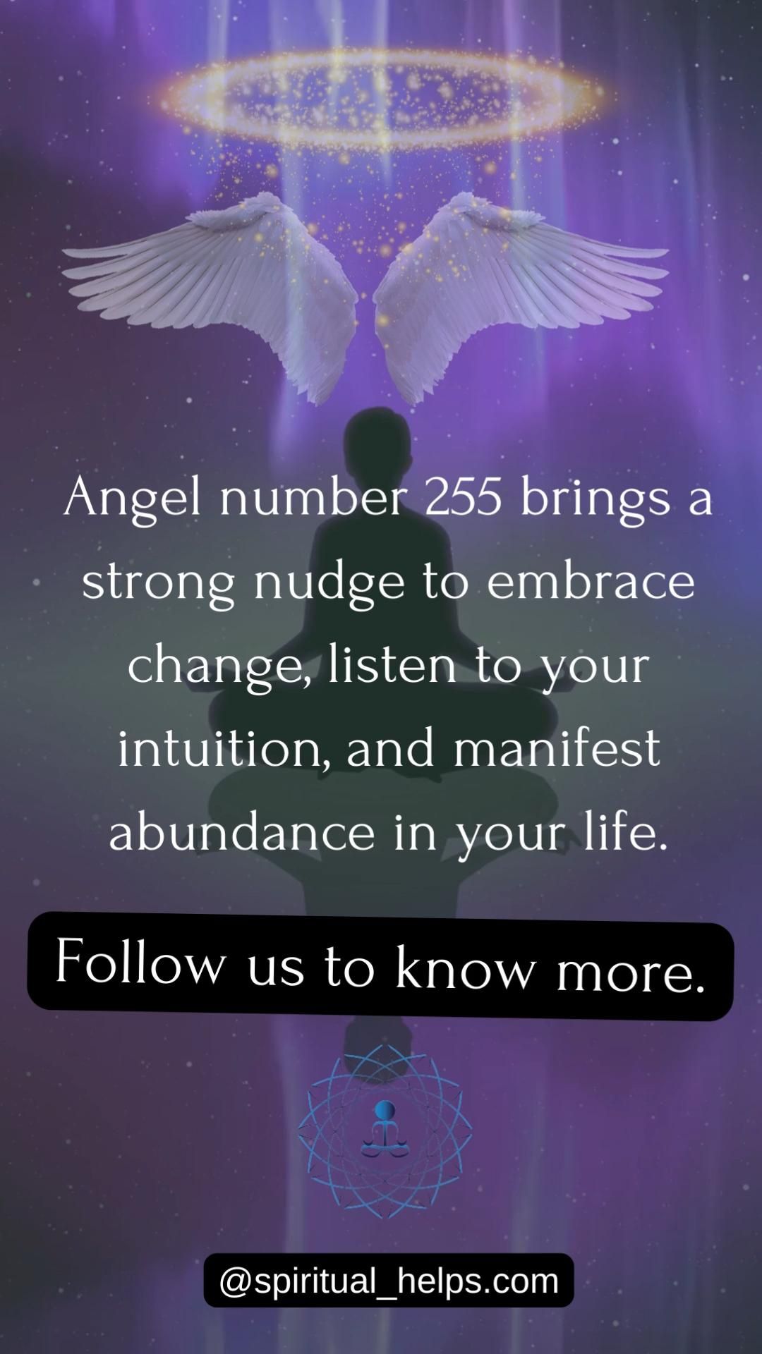 255 Meaning: What Is It and How Does It Work in Daily Life?
