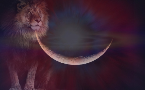 Does Cutting Hair When Moon is in Leo Make a Difference?
