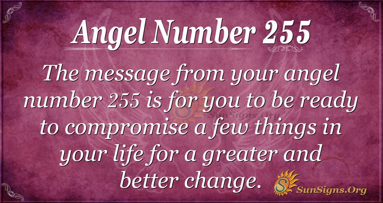 255 Meaning: What Is It and How Does It Work in Daily Life?