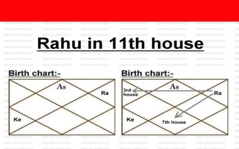 Decoding Saturn Mars and Rahu Conjunction in Libra 7th House D27
