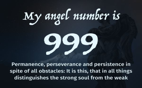 Discover the Powerful Message of 3113 Angel Number