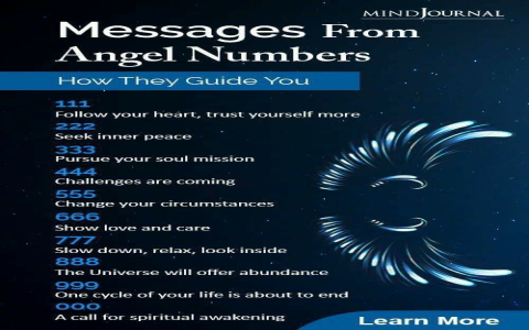 619 Angel Number: Love, Career and Twin Flame Meaning