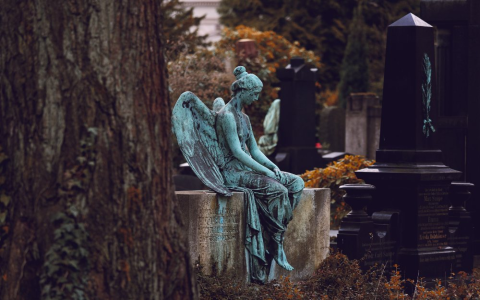 Angel number 6565: What is it trying to tell you? Learn now!
