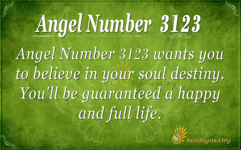 Seeing 312 Angel Number? Discover the Hidden Messages from Your Angels!