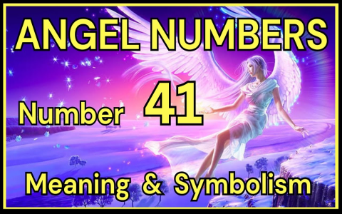 Unlocking the secrets of 41 angel number: A simple guide for you.