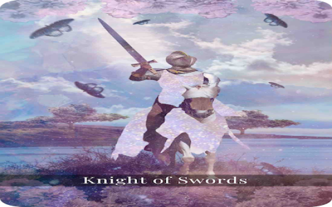 Daughter of Swords Tarot for Future (What to Expect)