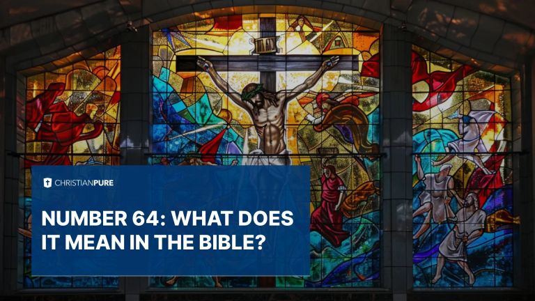 Unpacking the Significance of the Number 64: Key Facts and Insights Here