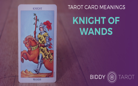 Prince Wands: How to Interpret This Card in Love