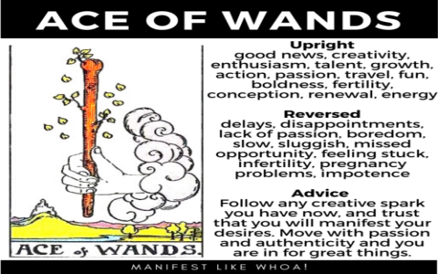 Lovers and Ace of Wands:  A Guide for a Fresh Start or a New Romance?