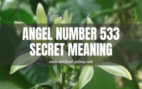 Whats the Meaning of 623 Angel Number? Find Out Here!