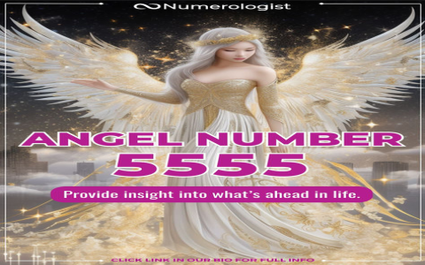 Discover the 567 meaning: Easy guide to understand it