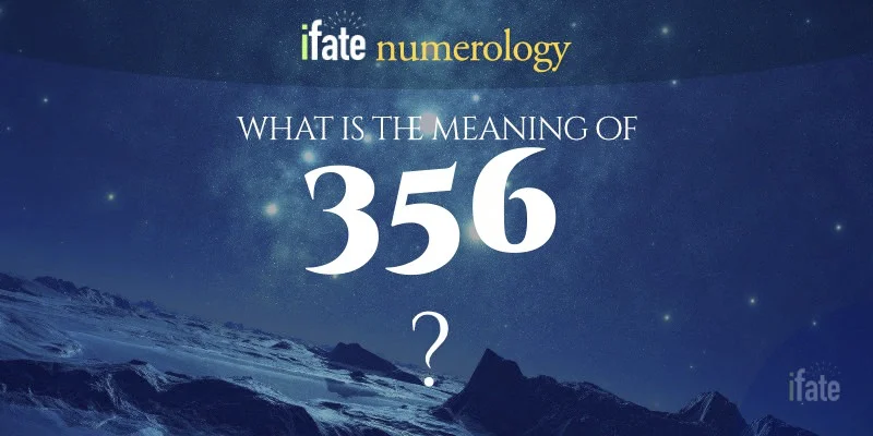 The 356 Meaning: A Simple Guide to Understand the Significance of This Number