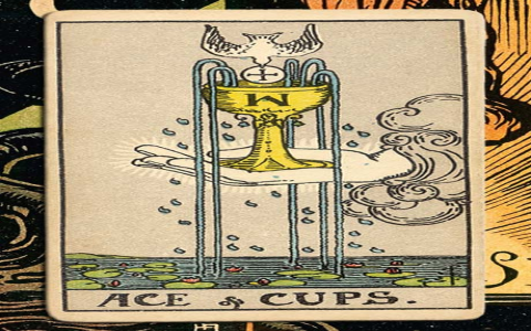 Ace of Cups Relationship Outcome: What Does it Mean for You?