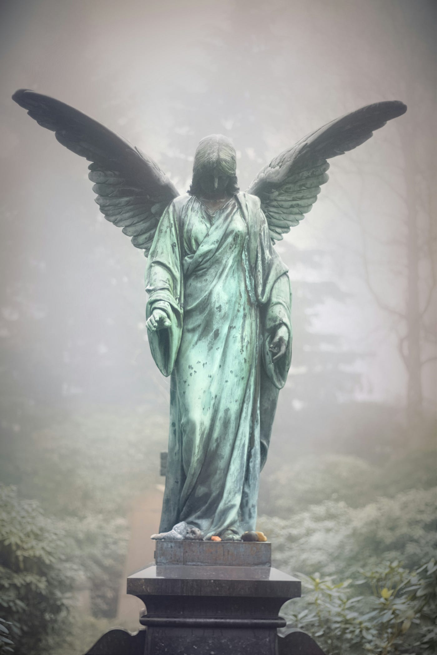 How to Find the Best Read Angel (Top Tips for Choosing a Skilled and Genuine Read Angel)
