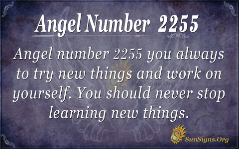 Why am I seeing angel number 41? You should know what this means.