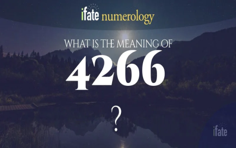 Whats the Secret of 824 Angel Number? Find Out Here!