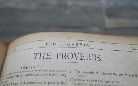 What Does the Number 16 Stand For in the Bible?  Learn Its Importance Now!