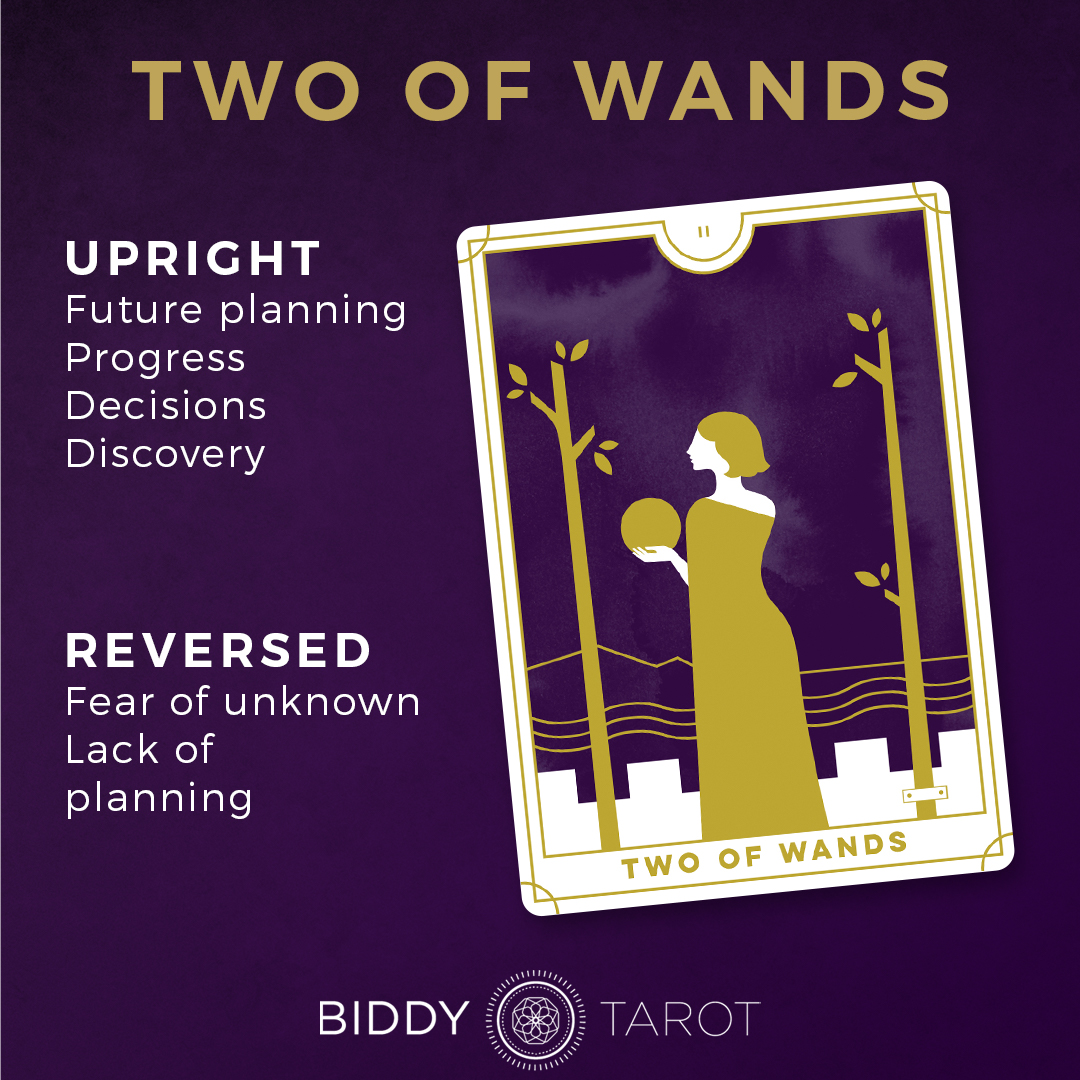 2 of wands career advice: Planning and choices for your job future. Get advice!