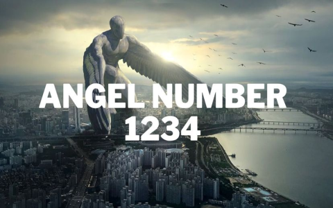 What does the number 29 mean spiritually? Find out now!