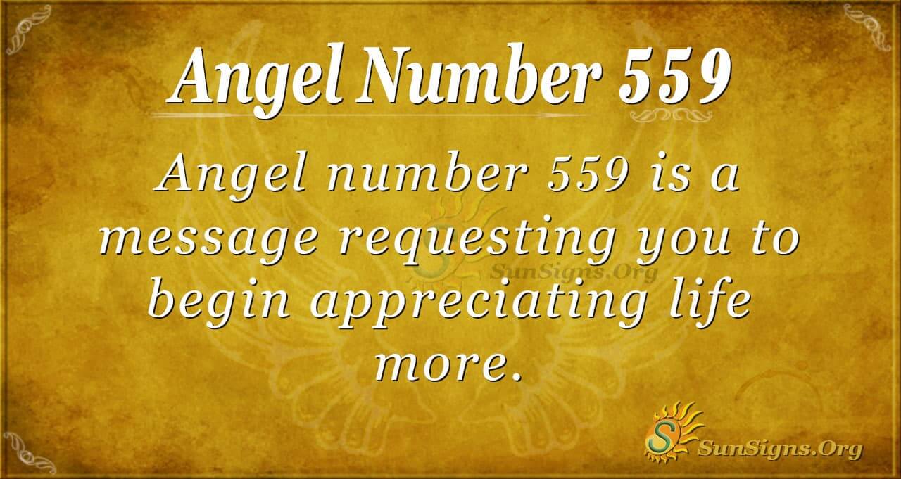 Why Am I Seeing the 559 Angel Number? Get the Answer Now!