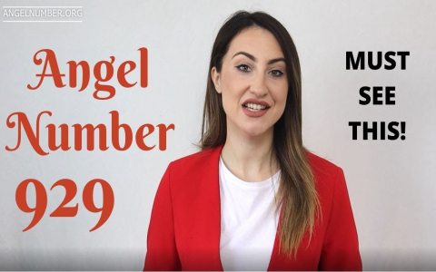 What Does 1166 Angel Number Mean For You? Find Out The Secret Meaning!