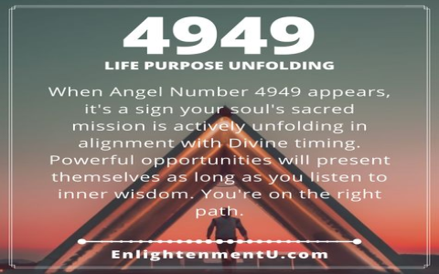1013 Angel Number in Love: Decode the Angelic Guidance Today!