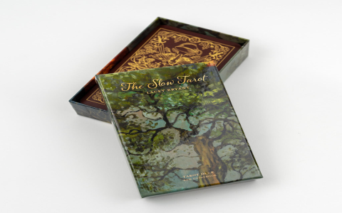 Korean Oracle Cards: What Are They? (Easy Guide for Beginners Getting Started)