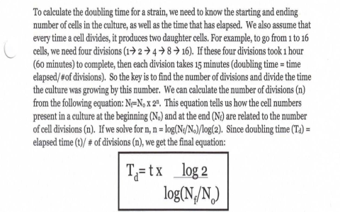 The Significance of the Number 48: Why Does It Matter in Different Cultures?