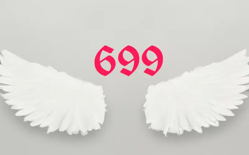 What Does 699 Mean? Lets Decode It Together Now!