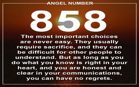 8585 Angel Number Meaning: What Is This Powerful Number Trying to Tell You?